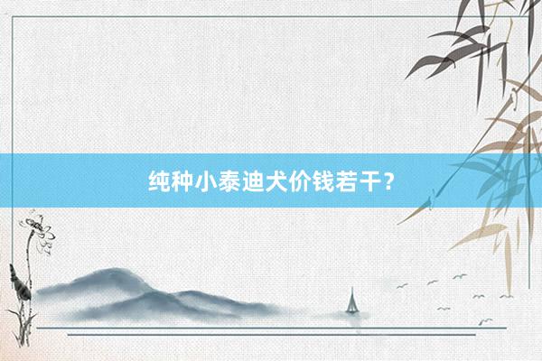 纯种小泰迪犬价钱若干？